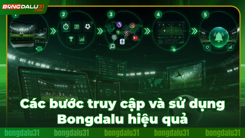 Cách khai thác tối đa kho tiện ích của Bongdalu cho người mới